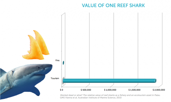 Graph displaying the value of one reef shark