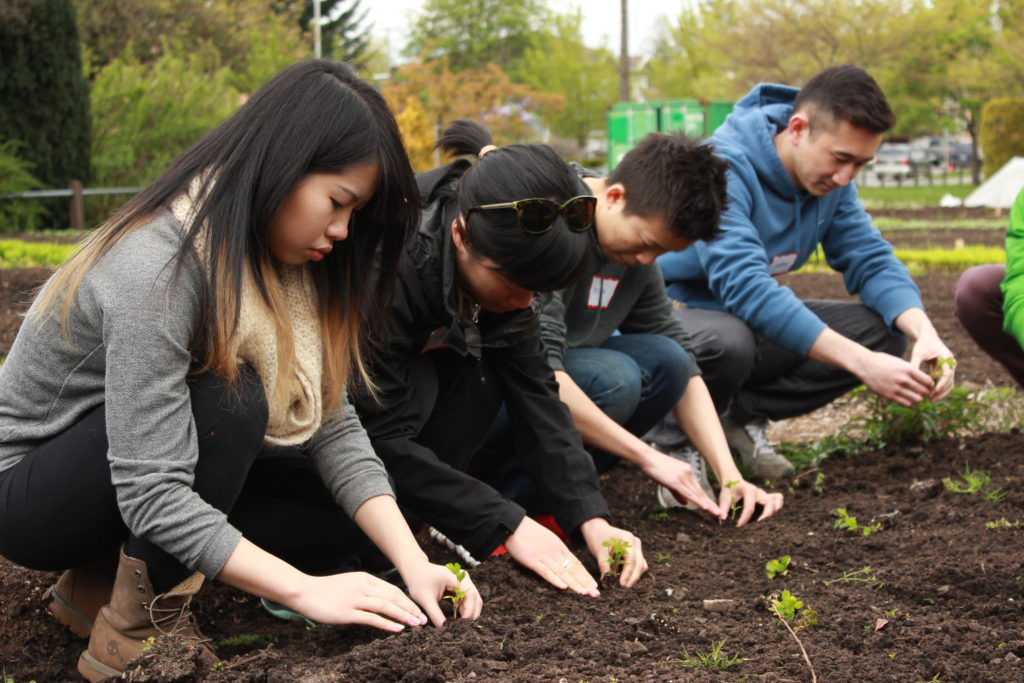 Group of youth crouched over soil, working in a garden