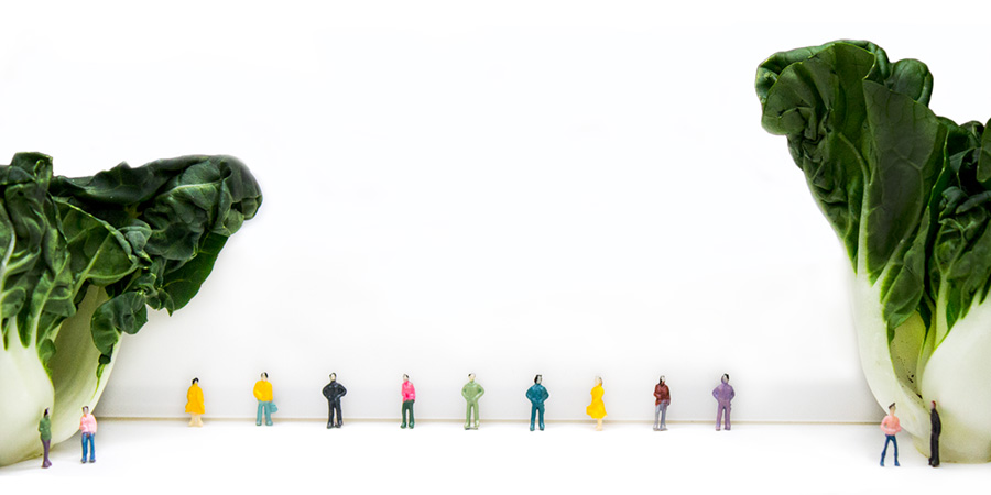 Small figurines of people standing against a white wall with Chinese vegetables on either side